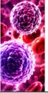 Respiratory Infections